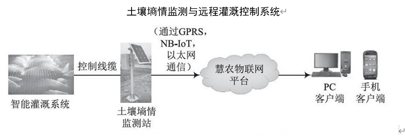 土壤墒情监测与远程灌溉控制系统